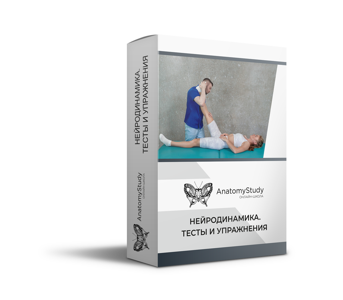 [Андрей Богатырев] [Анатомия] Нейродинамика. Тесты_0.png